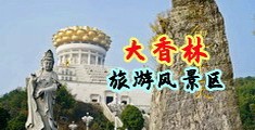 日本人jjzz视频18页码中国浙江-绍兴大香林旅游风景区